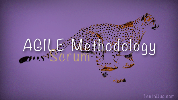 Agile Methodology- Scrum